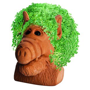 �恆�ѻ���Chia Pet Alf�恆�ѷNֲ��͸��͸ˮ�t���������������