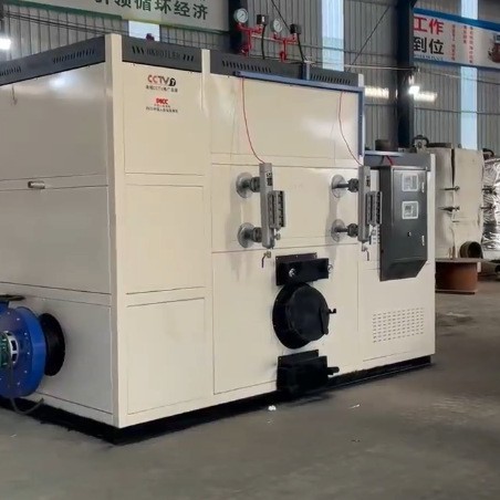 厂家全自动D级锅炉热损低寿命长免报装蒸汽锅炉生物质蒸汽锅炉