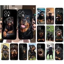 ����ƻ��iPhone�ֻ���������Ȯ 0���Ǳ�����iPhone 17 15 14 Plus