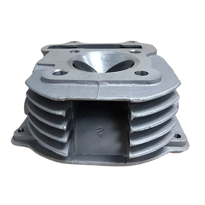 Cylinder and parts series cylinder head for