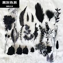 ��ɫϵ������diy��ָ�ػ��ֹ�����õ��ɻ������ë�~���滨����