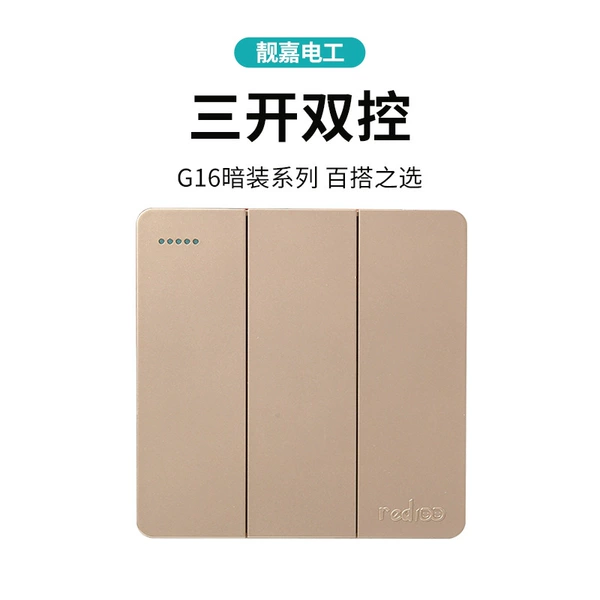 Sankai dual control switch