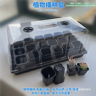 �Ӹ������������Ǥ���ѿ���w�Ӷ��␞�B���ز��N�P��������P��