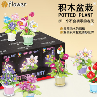 ΢�w���eľ�����������Ԕ[��5001ϵ�Ѓ�ͯƴ�b���С��ٛƷ�YƷŮ