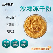 沙棘冻干粉 新疆沙棘 全果冻干果蔬粉 沙棘果粉 速溶食品原料现货