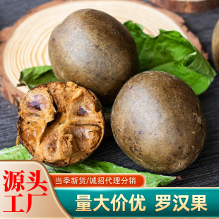 �V���_�h����؛���l���������_�h�� �������b���ɢ�bһ�����l