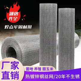 镀锌电焊网建筑工地挂网内外墙保温防裂抹灰铁丝网防护养殖网网格