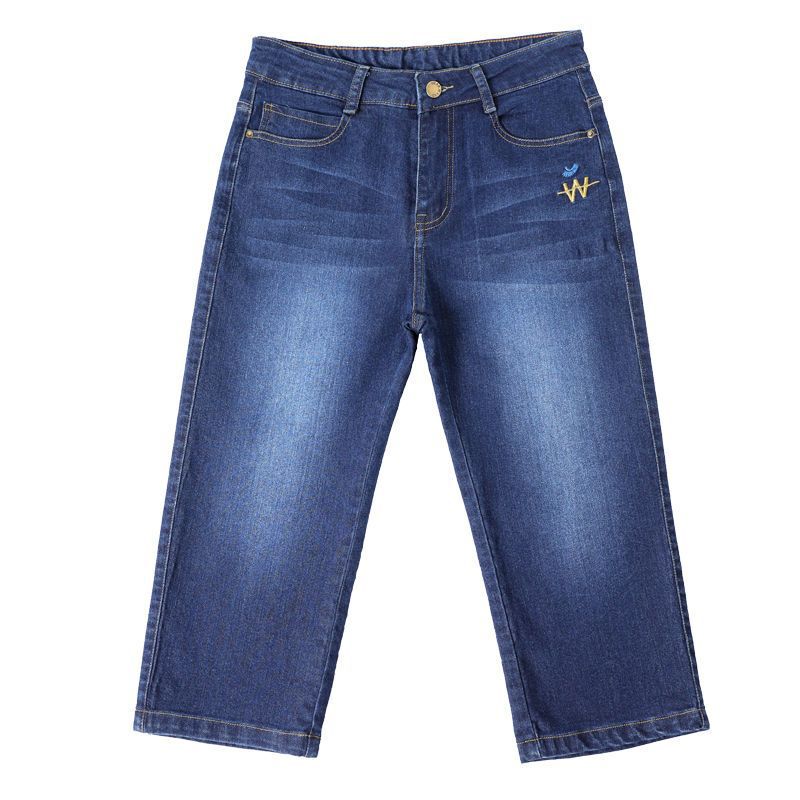 Summer New High-Waisted Stretchy Thin Cropped Jeans for Women, Slim Fit, Plus Size, Embroidered, for Middle-Aged Women, Skinny Mid-Length Pants