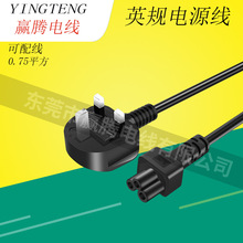BSӢ������÷��β��Դ��T5Ӣ������3*0.75ƽ��AC��Դ���ӳ��߳���