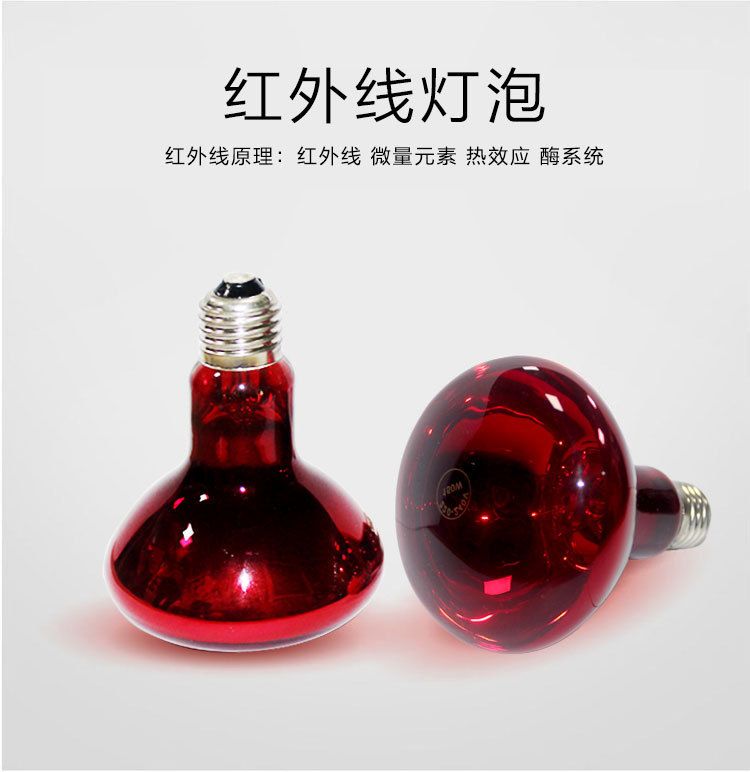 详情_01.jpg
