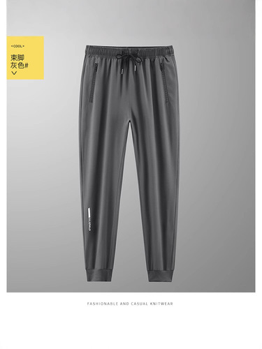 Summer Ice Silk Men's Casual Pants Quick-Dry Sports Pants Thin High-Elastic Air-Conditioning Pants Straight Leg Korean Style Trendy
