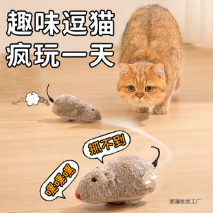 ؈�䌙����߰l�lС�������˽␞����؈��؈��Ʒ��ȫ�w��