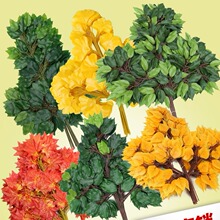 �����Ř��~�^�z�����Ř�֦�Gɫֲ���y�Ӽt���~�Ӽ٘�֦�b��쾰