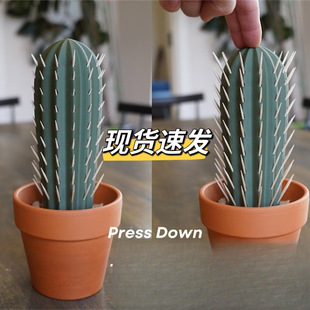 Toothpick Box Amazon Potted Plant Printing Cross-Border Cactus