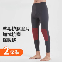 南极保暖裤男士款冬季加绒加厚羊毛护膝秋裤内穿防寒打底棉线裤人