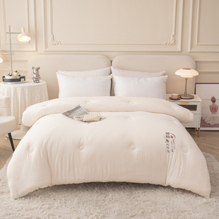 Category a Maternal and Infant Grade Winter Quilt, Raw Cotton Soybean Quilt, All-Season Quilt Core, Air Conditioning Quilt, Summer Cool Quilt, Summer Quilt, Soybean Fiber Quilt