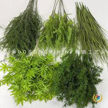 &otimes;ɭϵ����Y�������þGֲ�J�����JȔ�ݾGɫ�ٻ�����