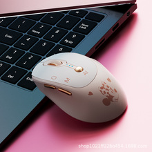 ��ʿ��AI�����Z�������DeepSeek�o���{���o���ɐ��k��Ů������