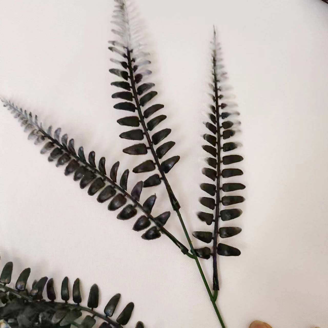 微信图片_20230811205745