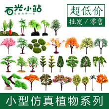 ��ˮʯ��ɽ��ˮʯ�辰�@ˇ΢���^����ֲ���b�С�[�� ���