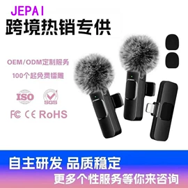 麦克风/话筒;行车记录仪;手机转接头