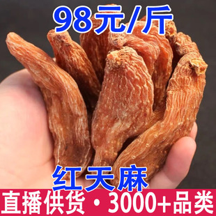 �t���� ��Ѫ���� �a��؛Դ