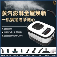 高压蒸汽清洁机洗车机商用家用空调厨房油烟机清洗机专业消毒工具