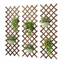 花架子实木客厅盆栽架壁挂墙上阳台装饰布置绿萝悬挂式室内爬藤