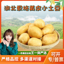 �����x��������ʩС�������l3��������������R��푪�����r�߲�