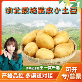 湖北恩施小土豆代发3斤粉面香土豆泥马铃薯应季新鲜蔬菜