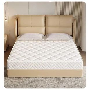 ϯ��˼���|���þ������ɴ��|Ҭ�����z��������Ӻ�Ӳܛ�|20cm��