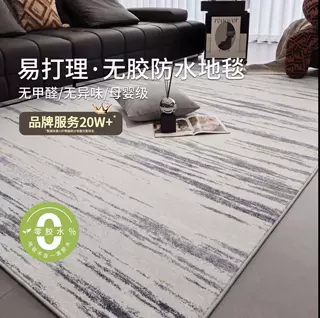 防水防污客厅地毯无胶无甲醛意式轻奢高级感免打理卧室床边毯新款