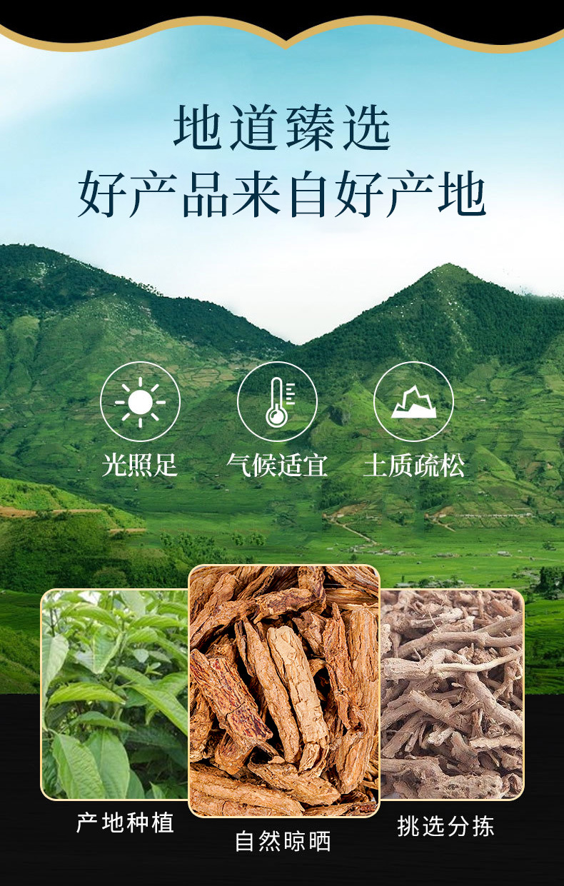 Di Gu Pi (Lycium chinense Root Bark) — Dried TCM Herb, Wolfberry Root Bark overview