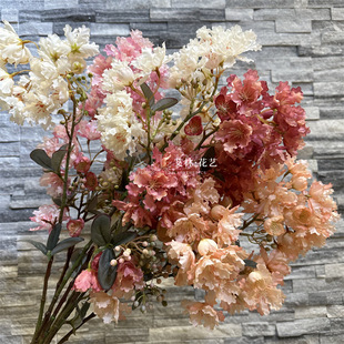 ��֦2����ޱ�� ���滨��c�Ҿ��b[�ŵ��ߘӰ��gܛ�b�zӰ����