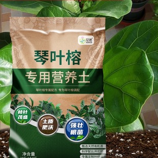 ���~���������ϠI�B�����~�Ż�������͸�������Nֲ����ɽ��