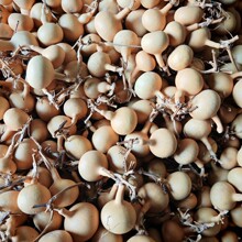 С���Ѻ��J ���^���J���l ������J��� �������J������J