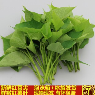 �Ĵ��t���~�����r�ع��~�t��ⷬ�����r������~�r���߲ˬFժ