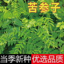 Ұ�������N���ļ��Nֲ��ș�Ŀ�������ǲ�ػ��Ýh֦ɽ���Ӳݱ���