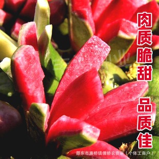 ���ļtˮ���}���N�������Դ�����Ƥ�tȿ�t���}���N���ļ������ﲥ