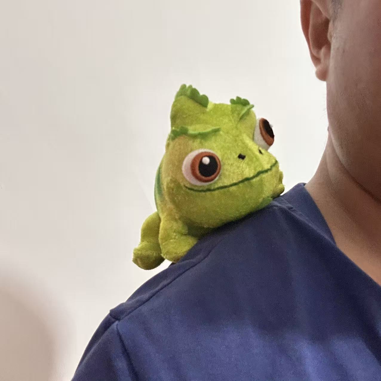 站肩磁铁 Pascal shoulder plush变色龙史迪仔维尼熊蜥蜴毛绒玩具