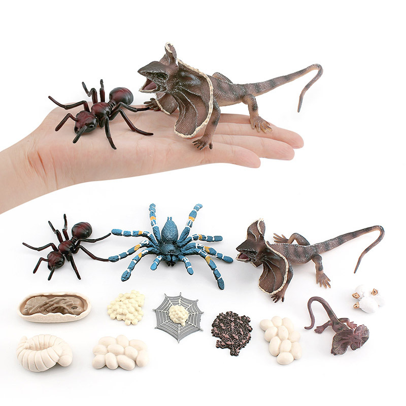 Simulación transfronteriza insecto modelo de ciclo de crecimiento animal captura de aves Araña Hormiga paraguas lagarto proceso de crecimiento decoración juguete
