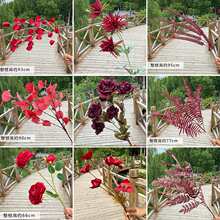 ��t��c����õ�彑����ĵ���廨������ɫ����ɫ��Y����·���F�z