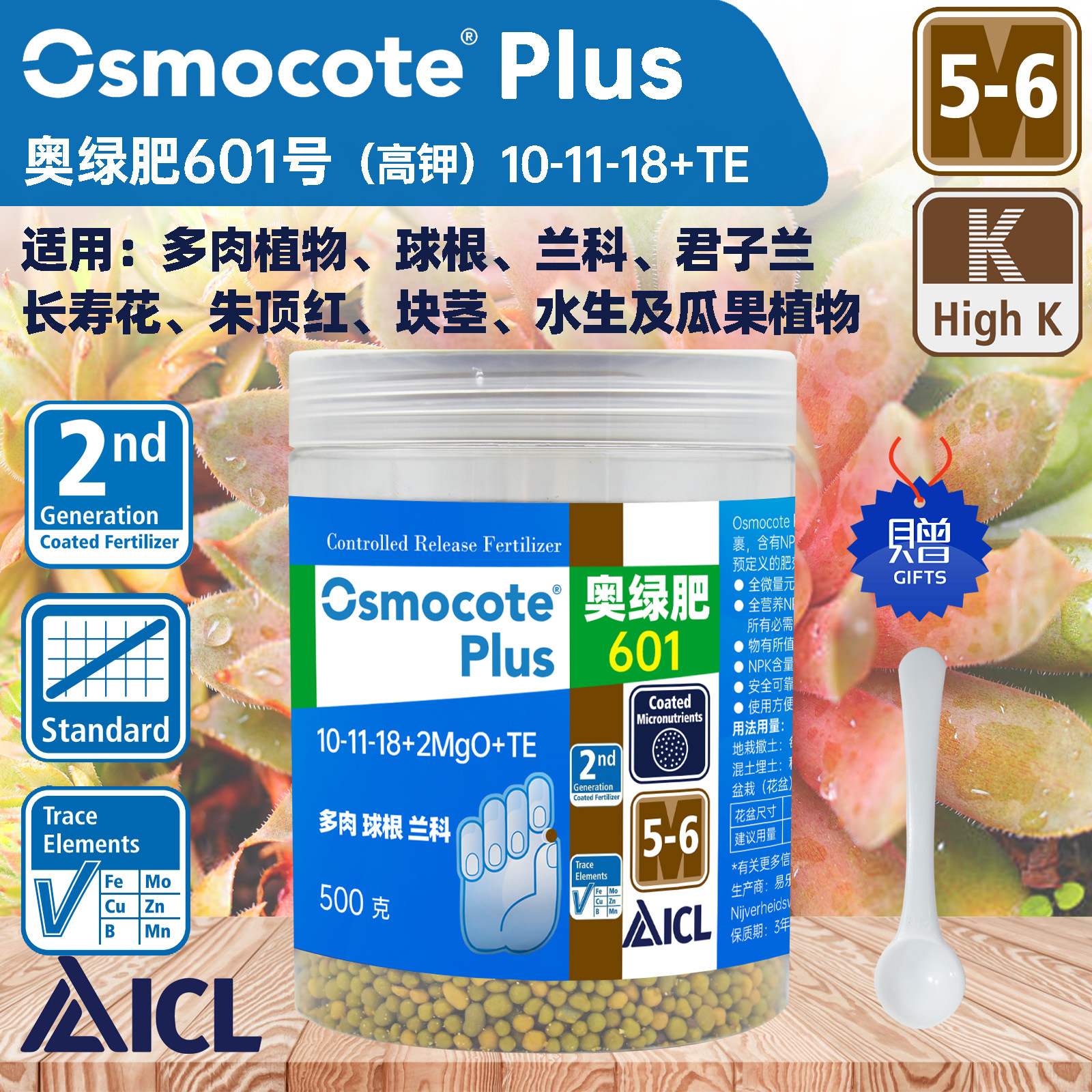Áo xanh 601 500g