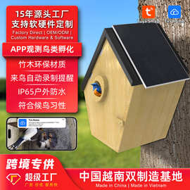 跨境竹木鸟窝带太阳能HD摄像头工厂智能鸟窝鸟巢孵化屋远程观鸟器