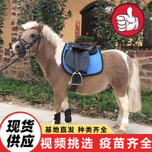 2025�Bֳ�����۰��_�R���w ���^��ͯ�^�p�T�˰��R ����С�R�x�r��