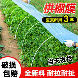小拱棚膜蓝色白色小拱棚塑料纸保温蔬菜高透光塑料纸薄膜防水防尘