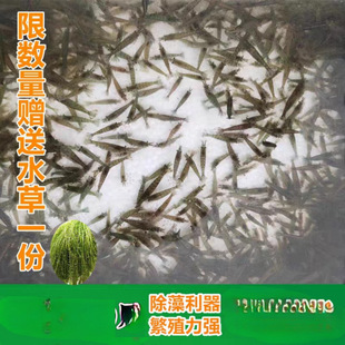 �ښ��r���嵭ˮ���w����ˮ���坍��Ϲ����~��С�ݸ��쾰�^�p�r�Z