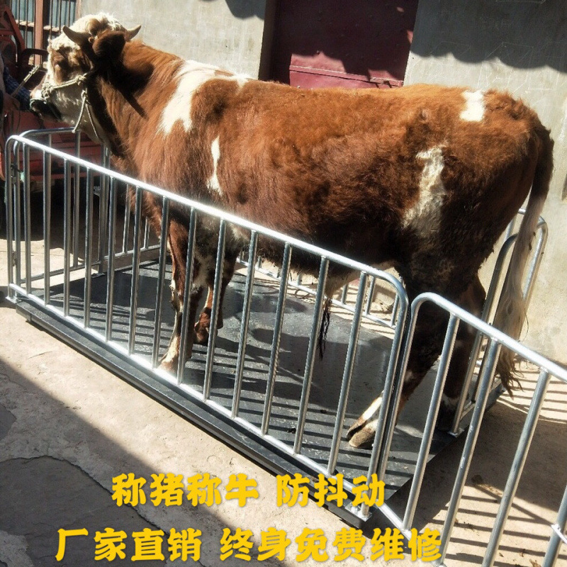 电子地磅秤1-3吨防抖动带围栏称牛称猪用小地磅2吨磅秤电子称地秤