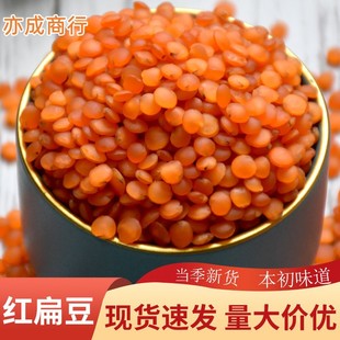 �t�ⶹ���l�R�ڶ�50��tɏū������s�Z���w����С�ⶹ