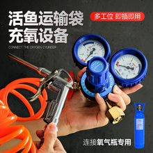 活鱼运输充氧气输氧套餐氧气管充氧枪氧气表活鱼袋子打包充氧设备